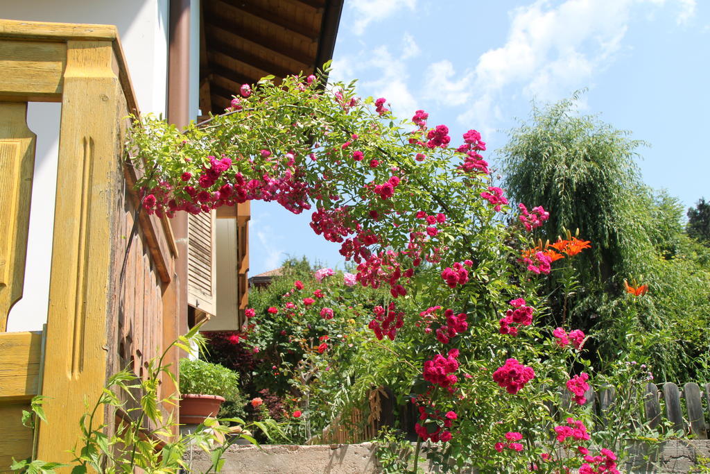 Garni Goccia D'Oro Hotel Cavalese Exterior photo